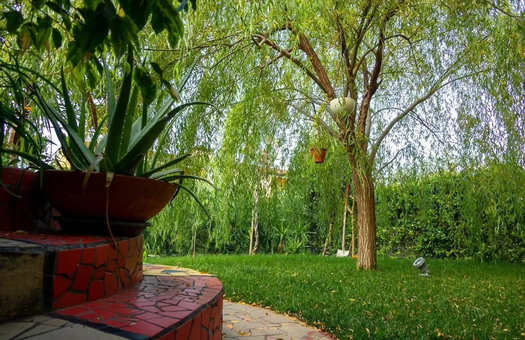 Jardin De Los Sentidos-1